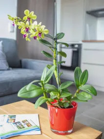 Children-friendly holiday apartment with terrace | Mountain view - Image 4