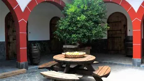 Fully equipped apartment with terrace, garden & private pool | Pets allowed - Image 4