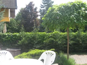 Wonderful house with pool, terrace & garden | Pets are welcome - Image 5