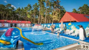 Maison de vacances avec sauna, terrasse et piscine - Image 3