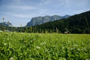 Magnifico appartamento adatto alle famiglie con giardino, sauna e idromassaggio | Ideale per lavorare da remoto - Image 4