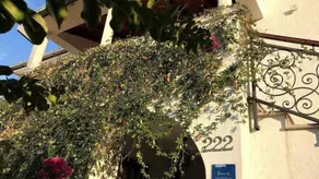 Beautiful apartment with terrace, garden & barbecue | Dogs allowed - Image 3