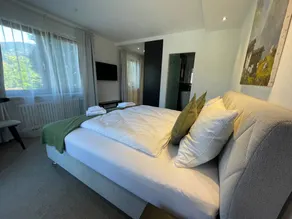 Hardis Hotel (DE Inzell) - Hardi Marton - 4397 - Image 3