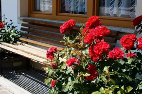 Apartment with terrace - Image 4