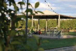 AGRITURISMO IL BORGHETTO (CAMERE CON BAGNO - RISTORANTE DEDICATO - EVENTI E CERIMONIE): Camera confort con matrimoniale, e letto singolo, bagno privato, - Image 5