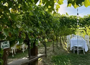 Agriturismo Oasi Biologica con ristorante: Appartamento Montedinove - Image 5
