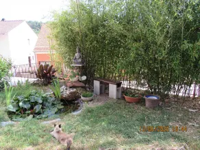 House with barbecue - Image 4