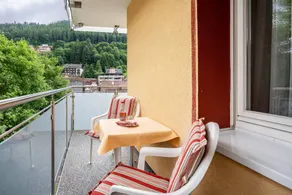 Privatzimmer mit Sauna, Garten und Terrasse | Gartenblick - Image 5