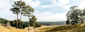 Fantastic Tiny House Surrounded by Nature's Enchant in Norway, New South Wales - Image 5
