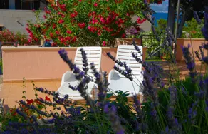 Voll ausgestattetes Apartment mit Terrasse | Wasserblick - Image 4