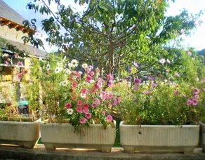 Ferienhaus 'La Casa De Luis' mit Bergblick, privater Terrasse und WLAN - Image 4