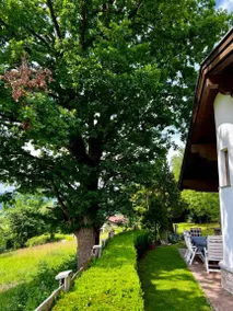 Casa con griglia, giardino e sauna | Vista sul giardino - Image 5