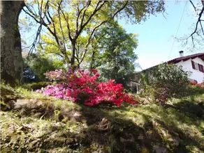 Bed & Breakfast mit Terrasse, Garten und schnellem Internet | Gartenblick - Image 4