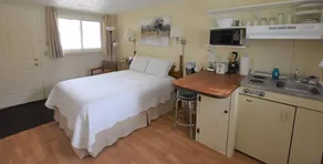Appartement avec internet haut débit, barbecue et jardin | Vue jardin - Image 5