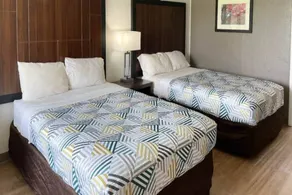 Holiday apartment | Pets allowed - Image 3