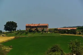 Lucciola Bella: PAPAVERO - Image 4