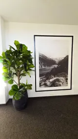 Family-friendly apartment with garden | Pets are welcome - Image 3