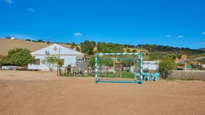 Grande villa totalmente attrezzata con terrazza, griglia e piscina privata | Vista sul giardino | Ammette animali domestici - Image 4