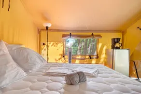 Glamping “Safari Tent” Air Conditioning Available Shared Pool - Image 5