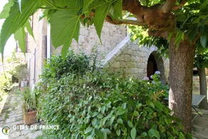 LE CEDRAT TROIS - Image 3