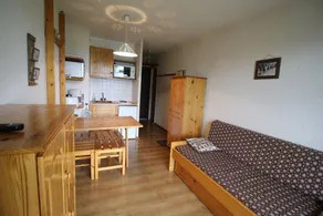 300m from resort center, Ground floor, view valley, balcony, tv, ski locker, 19m², Auris en Oisans - Image 5
