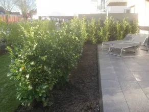 Appartement adapté aux familles | Plage à proximité - Image 3
