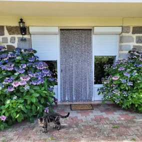 Agréable cottage convivial et familial avec jardin et barbecue | Vue jardin | Avec animaux autorisés - Image 5