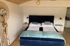 House | Pets are welcome - Image 3