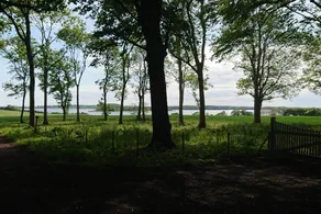 Holiday home with sauna, barbecue & terrace - Image 3