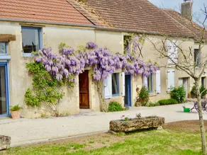 Fully equipped pleasant holiday home with terrace, BBQ & garden | Garden view | Perfect for remote work - Image 3
