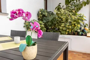Charming flat with barbecue & terrace | River view | Pets are welcome - Image 2