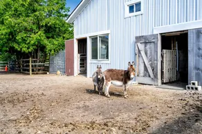 Stone Farm Retreat with Foosball and Poker Table in Ontario - Image 5