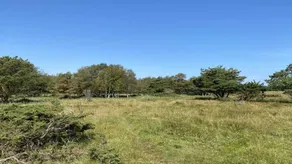 Maison de vacances avec 4 chambres à coucher pour 8 personnes - Image 5