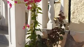 House with terrace & garden | Garden view - Image 5