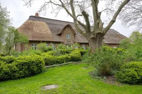 House with garden & terrace | Garden view - Image 3