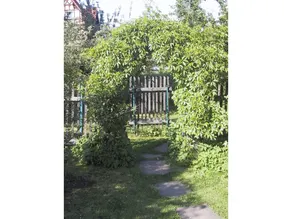 Holiday apartment with barbecue & garden - Image 3