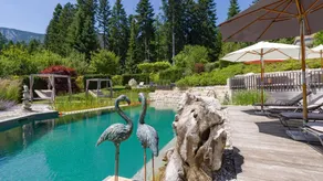 Apartment with barbecue, pool & garden - Image 4