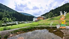 Camping Kleinenzhof - Flat Type H1 1 to 4 people - 1 person. included in the price - Image 5
