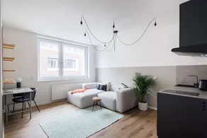 Pleasant holiday apartment with terrace - Image 5