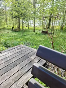 Spacious holiday home with garden, terrace & sauna - Image 2