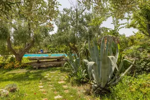 Fully equipped nice apartment with garden, jacuzzi & BBQ - Image 3