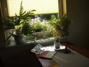 Holiday house for 4 guests - Image 2