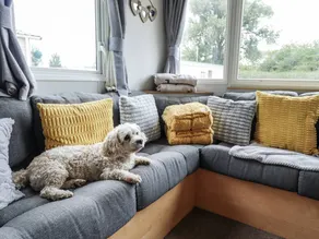 Child-friendly pleasant cottage with garden | Pet-friendly - Image 3