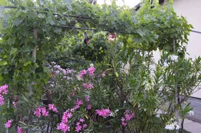 Flat with barbecue, terrace & garden - Image 5