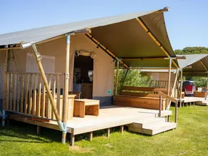 Tent with garden - Image 4
