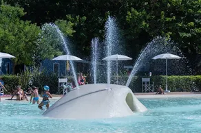 Child-friendly charming campsite with pool, sauna & garden | Pets are welcome - Image 5