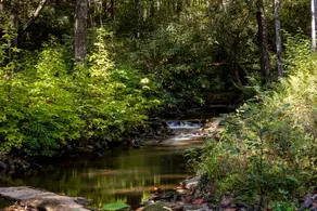 North Carolina Mountain - 2 Br condo by RedAwning - Image 5