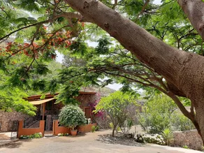 Respira by CanariApartment – Peaceful Nature Retreat with Wi-Fi and Air Conditioning - Image 4