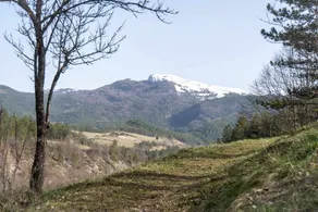L'Auberge de Valdrôme - Image 5