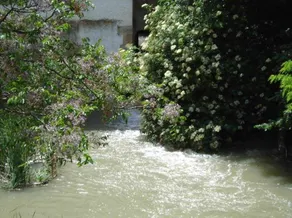 Apartment with garden & barbecue - Image 4
